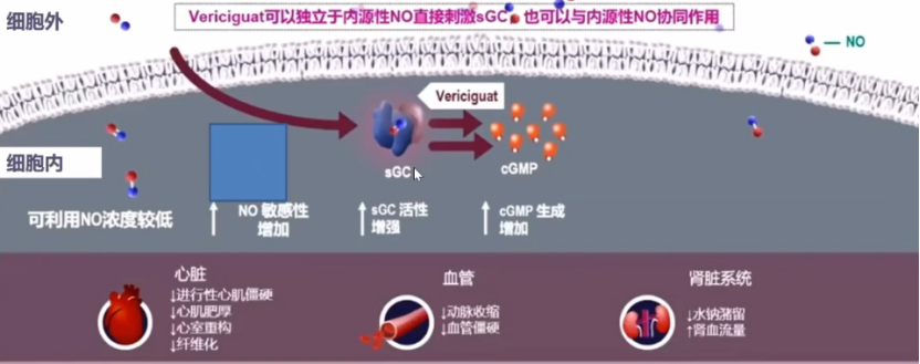 心力衰竭|心对话丨新希望，新选择——引领心衰管理新格局