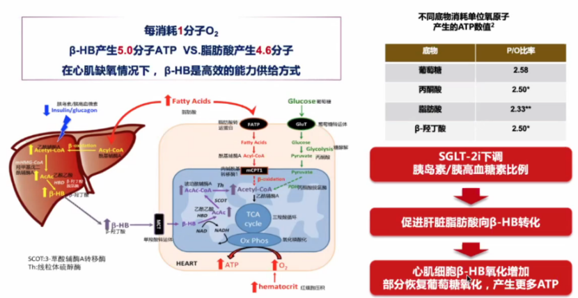 心力衰竭|心对话丨新希望，新选择——引领心衰管理新格局