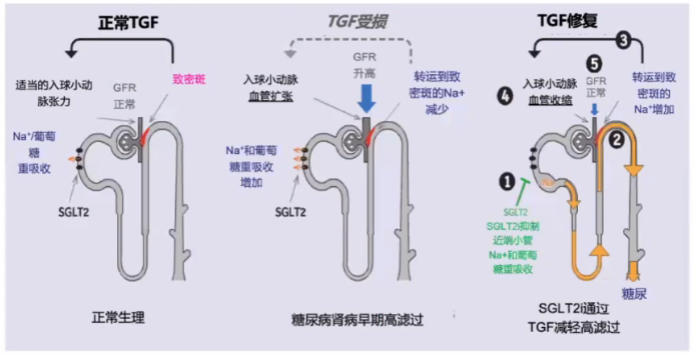 心力衰竭|心对话丨新希望，新选择——引领心衰管理新格局