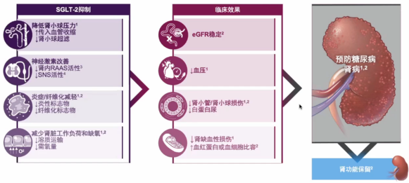 心力衰竭|心对话丨新希望，新选择——引领心衰管理新格局