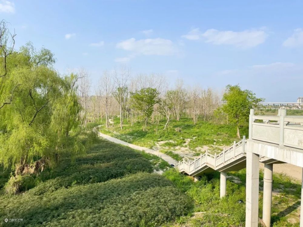 重走资阳青年林,熟悉又陌生的感觉不禁让我打出三个"?