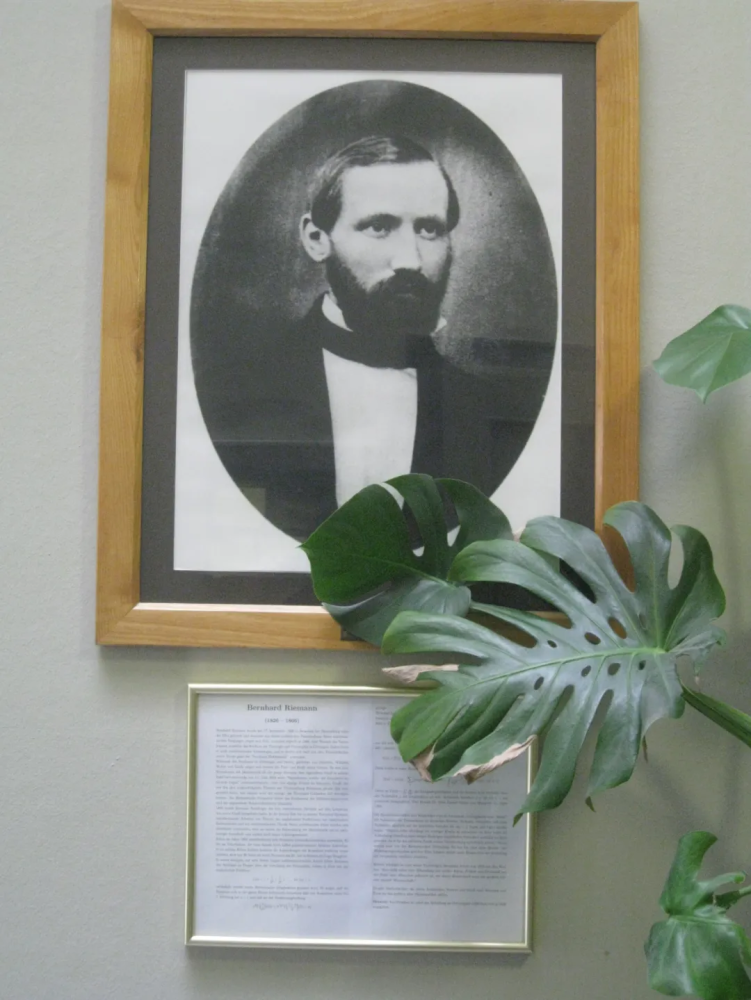 伯恩哈德·黎曼|羞怯的数学家黎曼，有着太阳一样辉耀的心