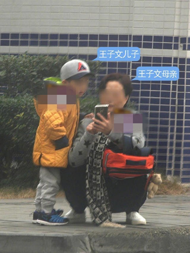 王子文未婚生子七岁儿子生父成谜想要热度就别怪别人乱猜