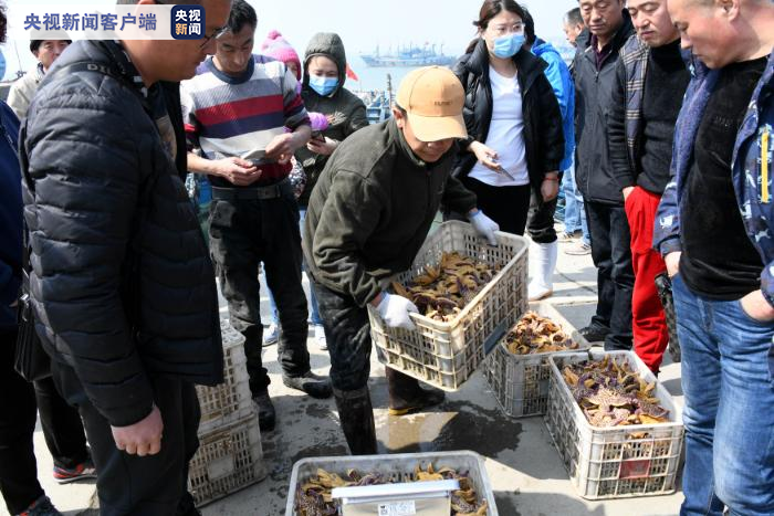 海星|青岛：允许养殖户临时使用“地笼网”清理海星