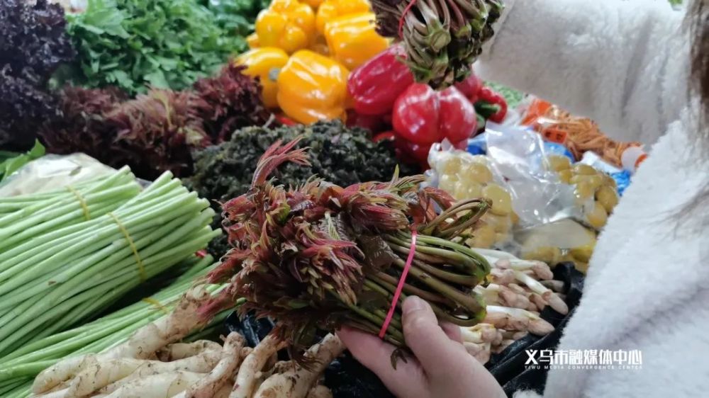上海90元一斤的香椿 在义乌菜市场只卖 腾讯新闻