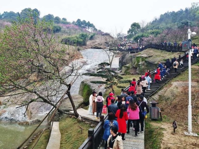 赏桃花,泡温泉,品贡鸭,去宁乡灰汤邂逅最美春天|东鹜山|桃花谷|灰汤镇