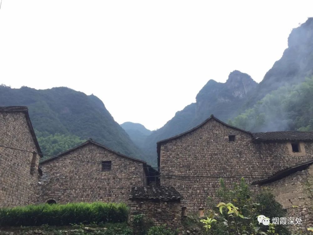 原始森林里的石头古村仙居县淡竹乡油溪村古村行078