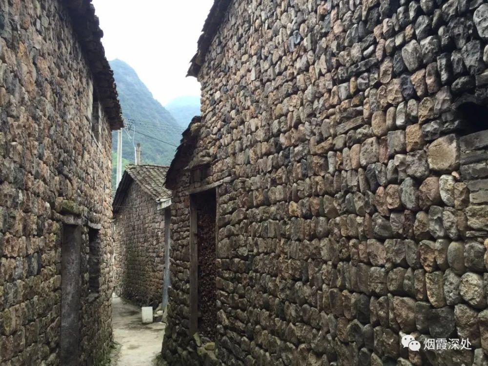 原始森林里的石头古村仙居县淡竹乡油溪村古村行078