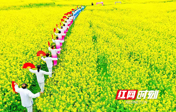 倒计时衡阳县油菜花节3月16日启幕