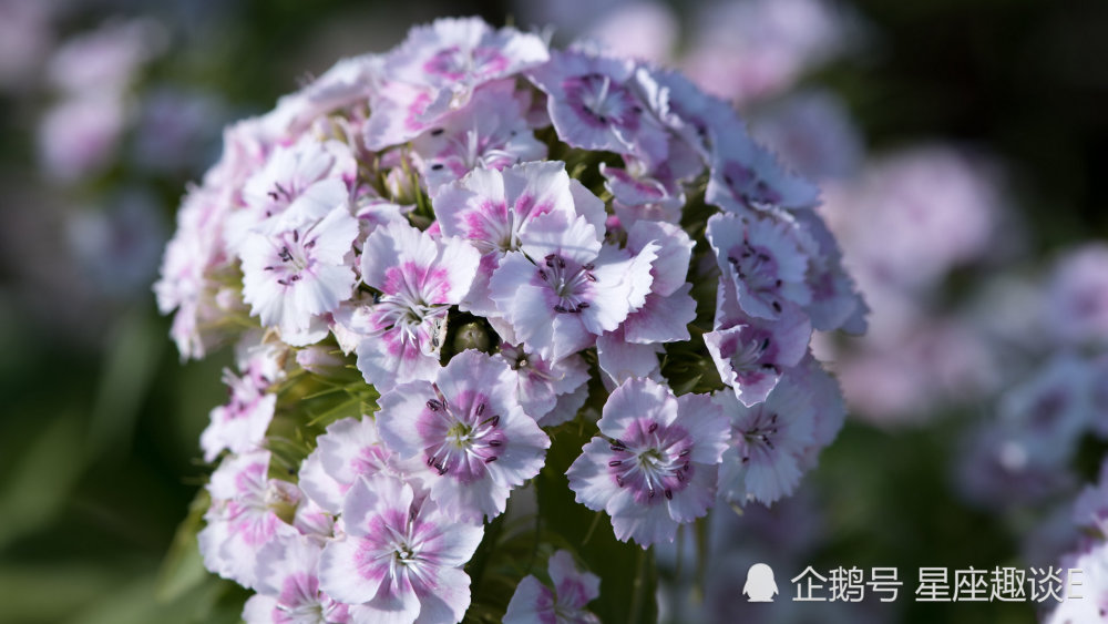 3月15日 21日星座运势 巨蟹重燃斗志 天蝎认真负责 射手乐观豁达 腾讯新闻