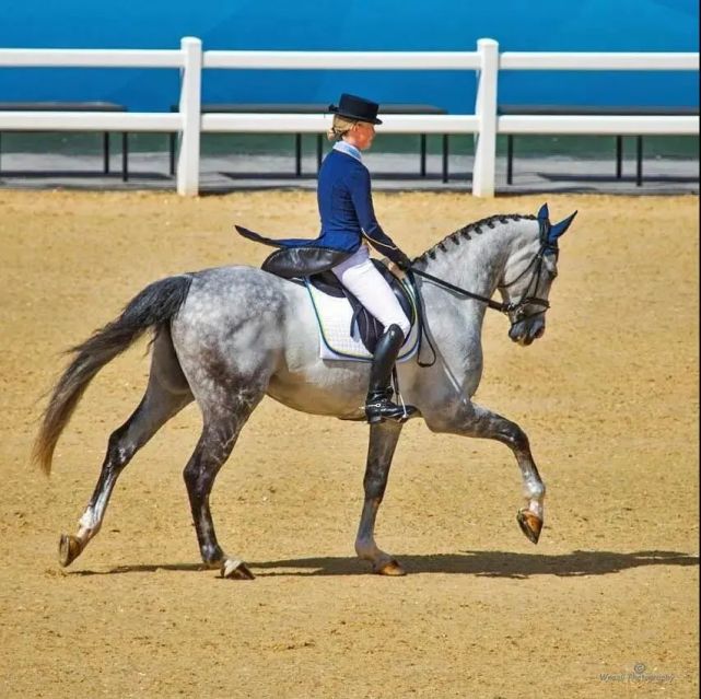 先睹为快!十四运会马术场馆长这样