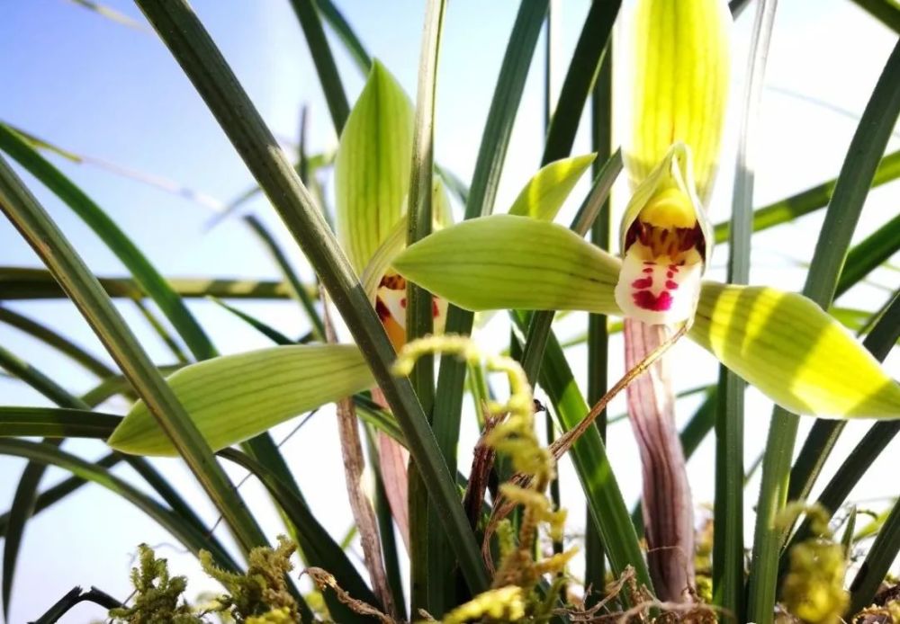 以上也只是好摄农夫自己所经,所见的一些看法,见解可能有些片面与局限