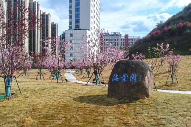 海棠花开湖医药这个新晋网红打卡地已上线