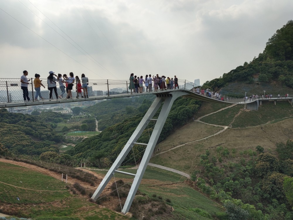 深圳继玻璃桥之后又一挑战心跳的地方光明悬桥