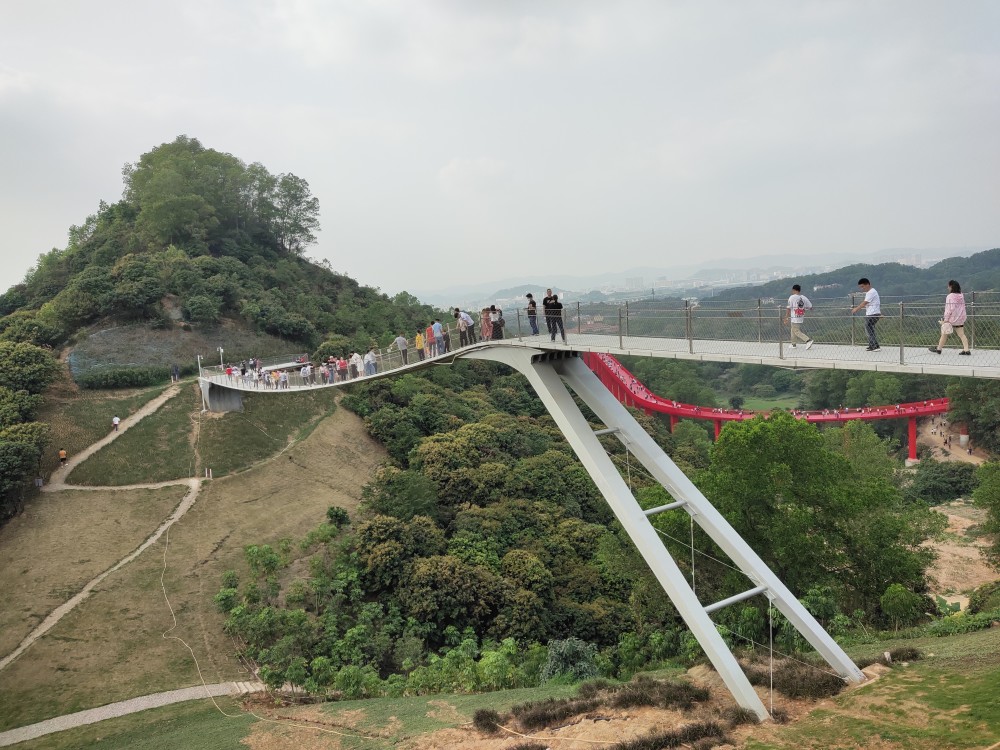 深圳继玻璃桥之后又一挑战心跳的地方光明悬桥