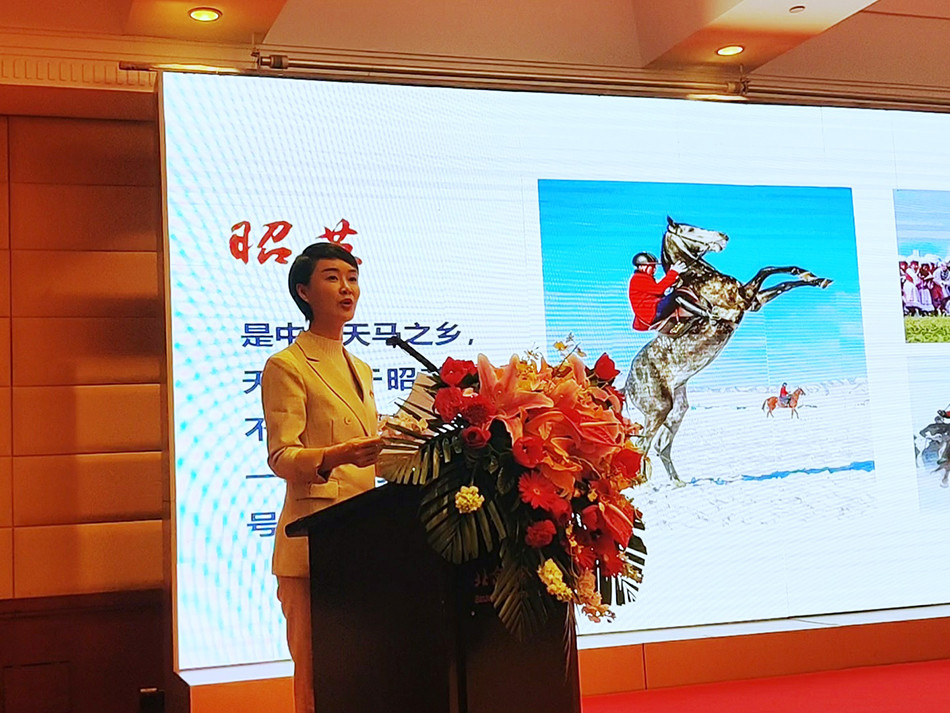 策马雪原女副县长在京推介昭苏:欢迎来"骑马看花海游天山"