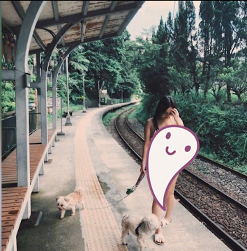 博出位的方式越来越拉低下限