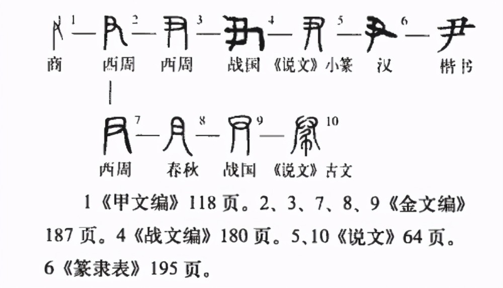 春秋诸侯可称国君为何周天子不能称为国君甲骨文揭开秘密