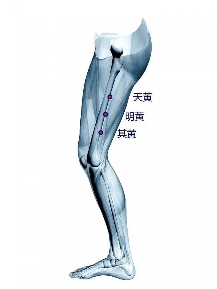 駟馬四花上三黃你瘦到滿意體重