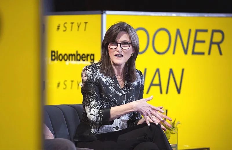 木头姐,两面神,泡沫史_腾讯新闻