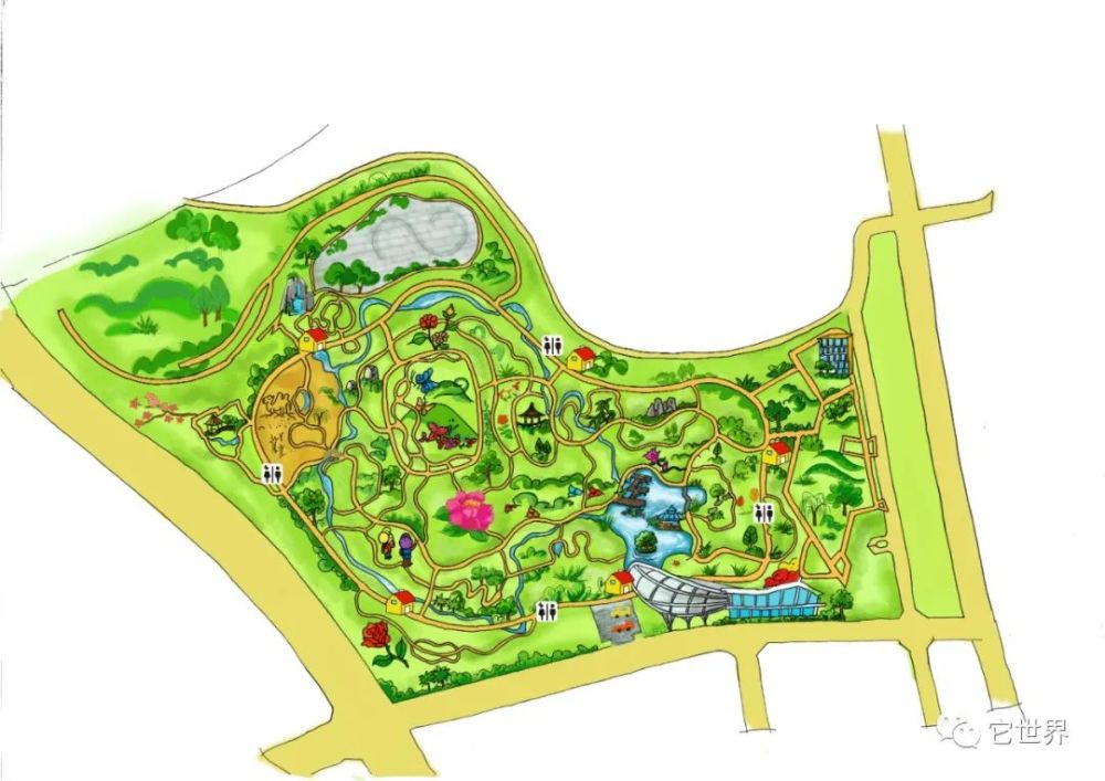 西安市第三届家庭观鸟比赛给你不一样的亲子体验