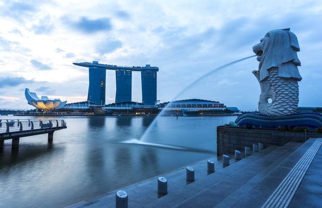 新加坡人口组成_疫情下的人口冲击:新加坡人口下滑创纪录