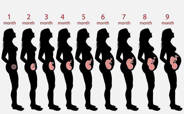 怀孕有多辛苦?五张图带你看看孕期全过程,孕妈们辛苦了
