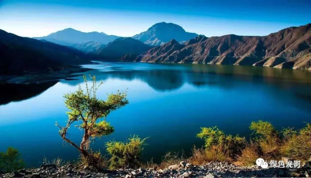 这么美的洮河你见过吗