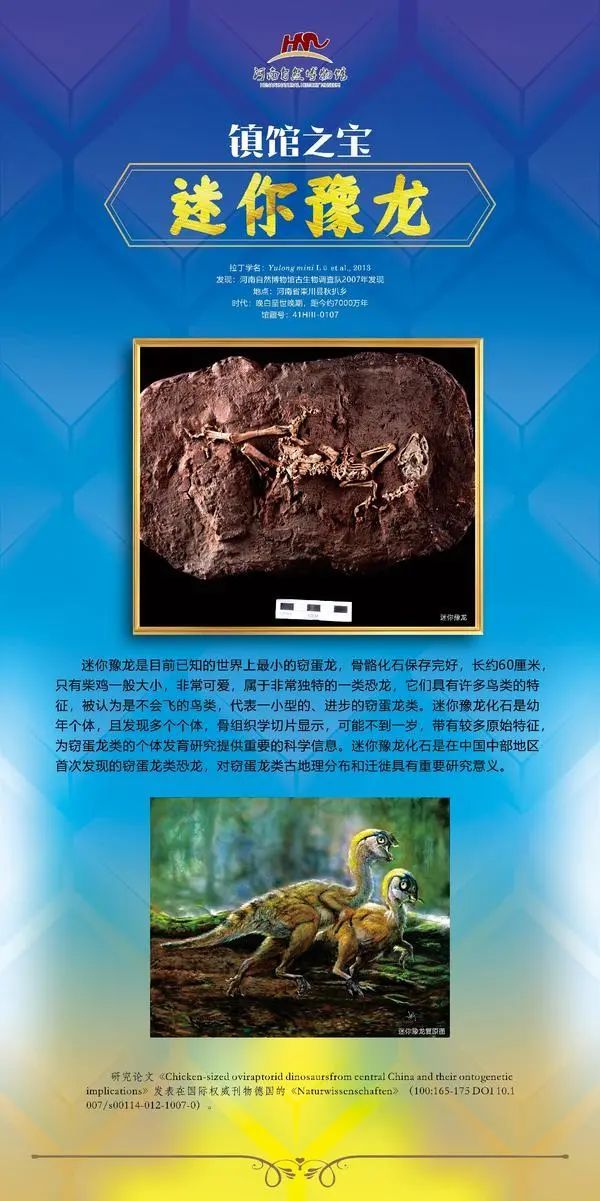 河南又多了一个博物馆!