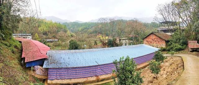 冷水滩区花桥街镇一养猪场强占基本农田直排污染村中环境 腾讯新闻