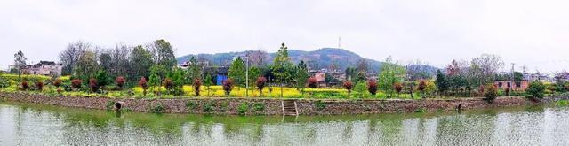 冷水滩区花桥街镇一养猪场强占基本农田直排污染村中环境 腾讯新闻