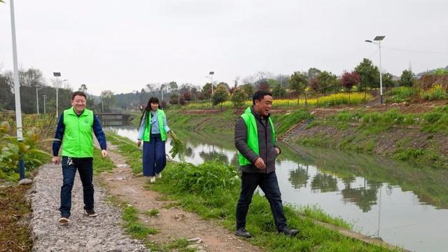 冷水滩区花桥街镇一养猪场强占基本农田直排污染村中环境 腾讯新闻