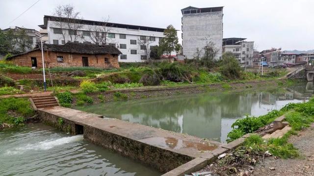 冷水滩区花桥街镇一养猪场强占基本农田直排污染村中环境 腾讯新闻