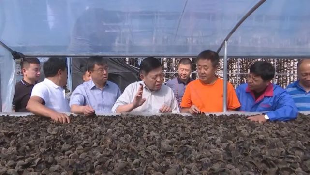 李玉咬定青山不放松蘑菇院士脱贫攻坚打头阵