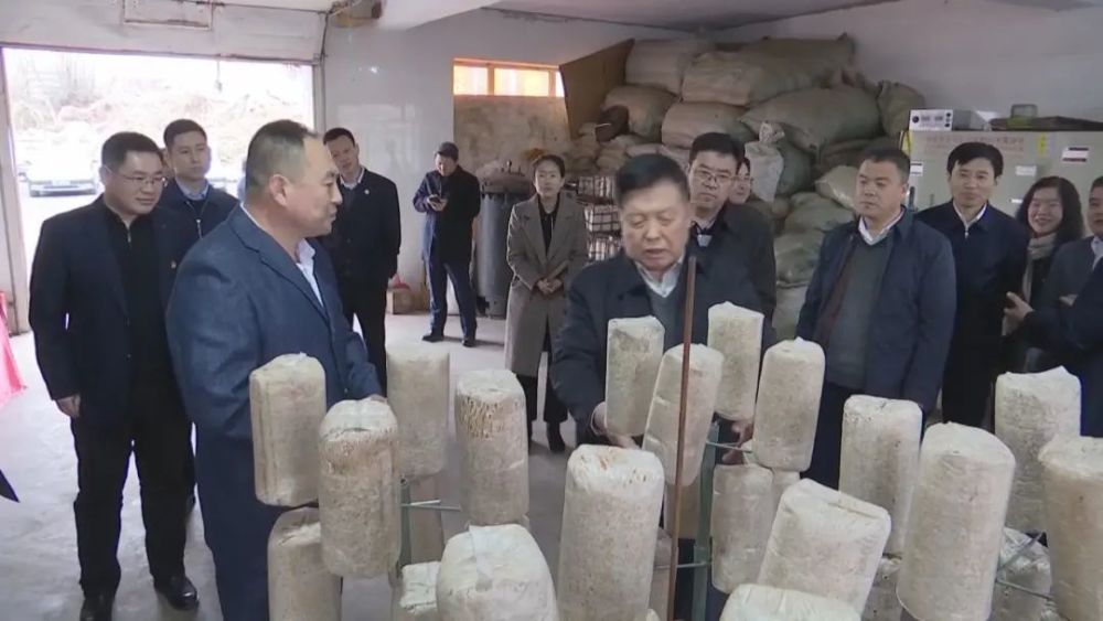 李玉:咬定青山不放松 "蘑菇"院士脱贫攻坚打头阵_腾讯新闻