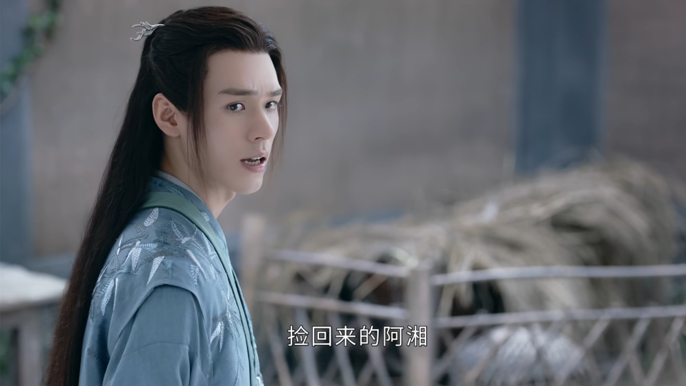 山河令情字面前连无心紫煞都变得那么卑微