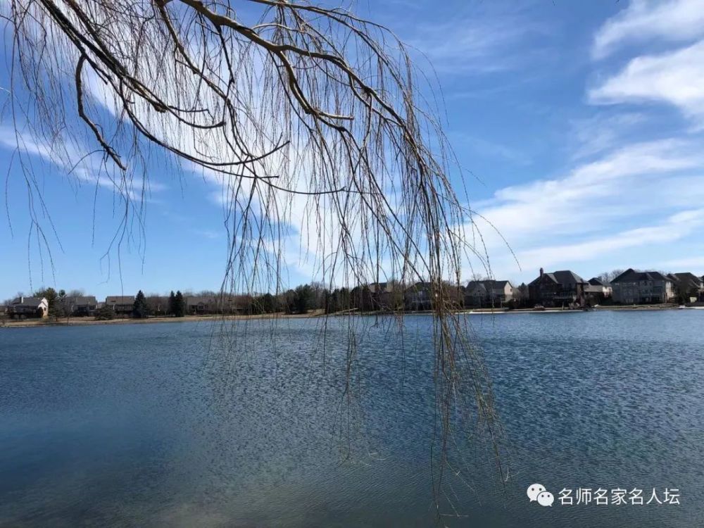 作者简介:赵银莲,字修弦,中国湖南女子,湖南省诗歌协会,邵阳市诗词