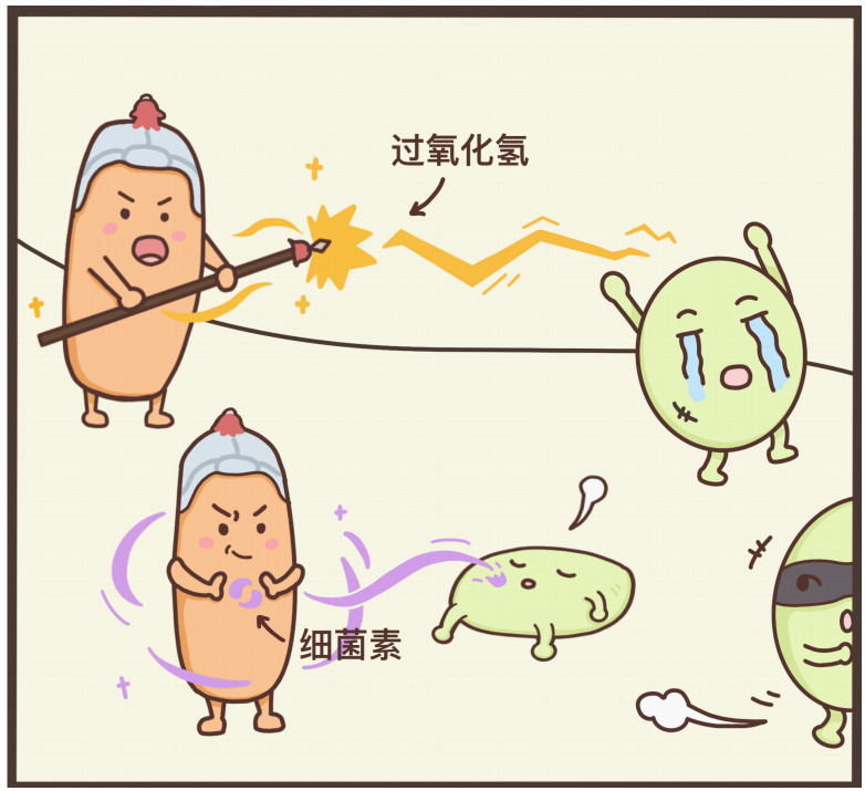 内裤有一种真的没必要买