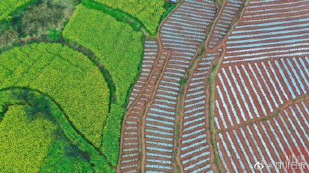 四川田坎出现鱼和靴子图案