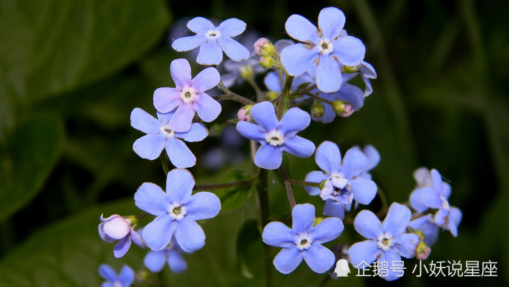 3月16日爱情运势 幸福敲门 情有所归的四大星座 腾讯新闻