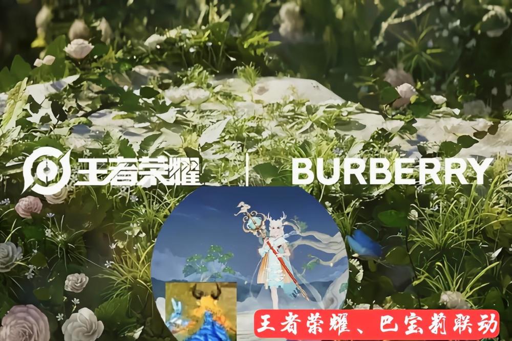 瑶瑶公主巴宝莉传说皮亮相，小萌仙鹿就值1430？两类玩家却很不满意