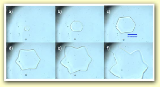 速冻食品|速冻食品不新鲜也没营养？这么想你将错过一大波美味