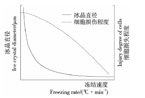 速冻食品|速冻食品不新鲜也没营养？这么想你将错过一大波美味
