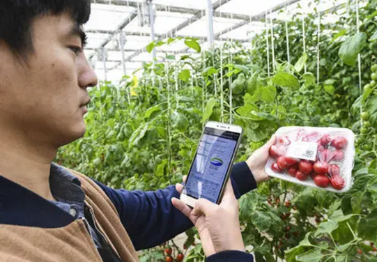 天府智慧农业晏旭:发展智慧农业 建设数字乡村