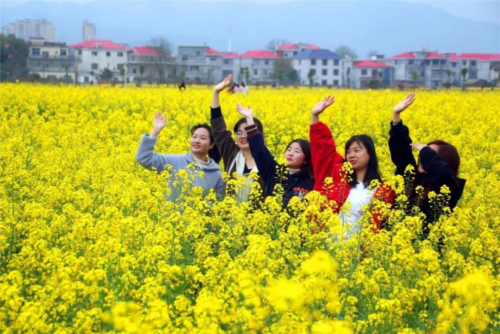 遍地金黃3月13日,萍鄉市第八屆鄉村文化旅遊節暨蓮花縣第十一屆油菜花