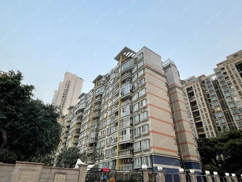 实探福田顶级学区房有业主返价降价抛售别想