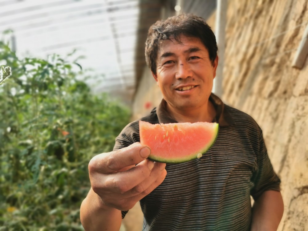 吃瓜群众准备好商河郑路珍珠红西瓜即将上市