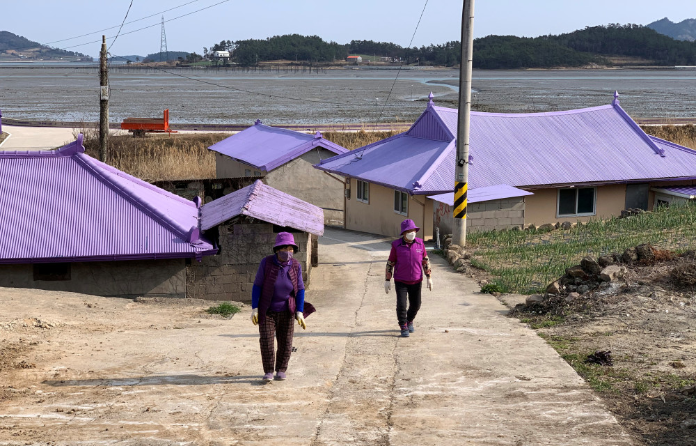 外代一线 紫色小岛引客来 腾讯新闻