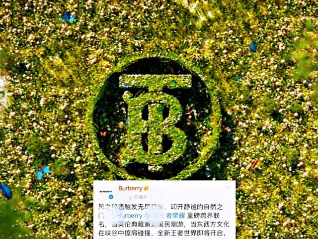 艾琳语音有点茶？瑶妹穿奢侈品，双形态传说亮相，官方还是向富婆低头了！