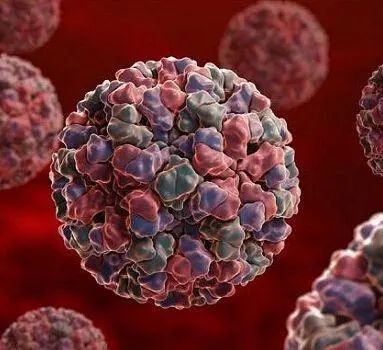 延吉市疾控中心副主任洪大龙提醒,保持良好的手卫生是预防诺如病毒